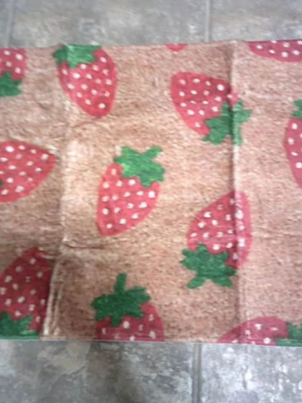 NEW AMAZON DOOR FLOOR PORCH MAT STRAWBERRY DESIGN SOFT POLYESTER NON-SKID BACK